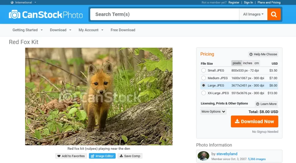 Stock image of League Against Cruel Sports "fox cub"